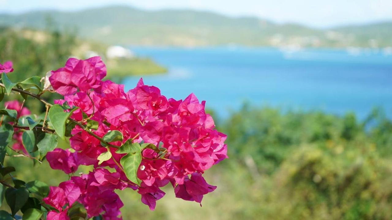 Coqui Beach Home, Culebra Isla Culebra Exterior foto